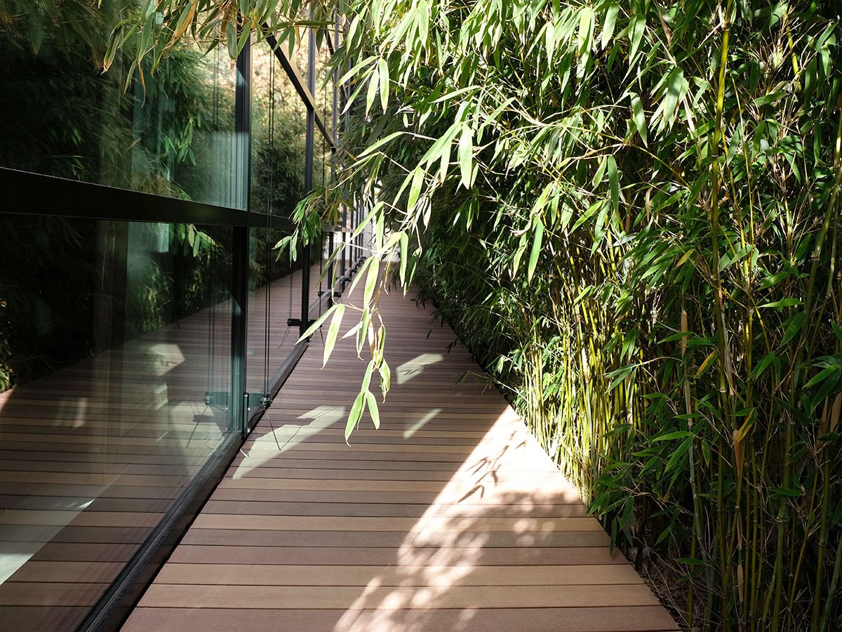 WPC Terrassendielen im Look von Holzdielen auf langer Terrasse, Steg mit Bepflanzung - Onlineshop